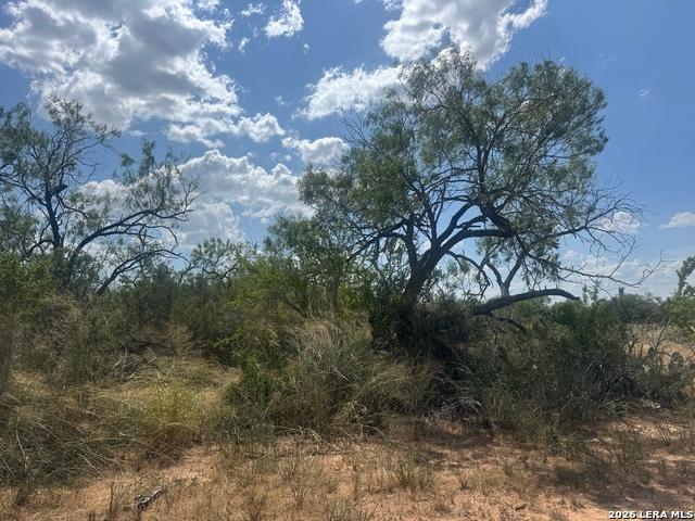 Land for sale in Christine, Atascosa County