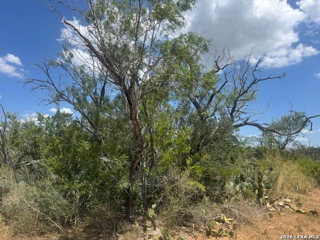 Land for sale in Christine, Texas