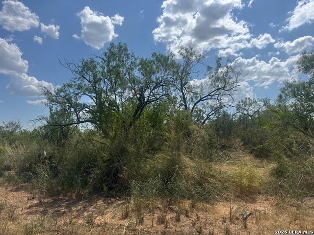 Land for sale in Christine, Atascosa County