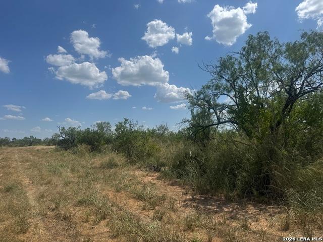 Land for sale in Christine, Atascosa County