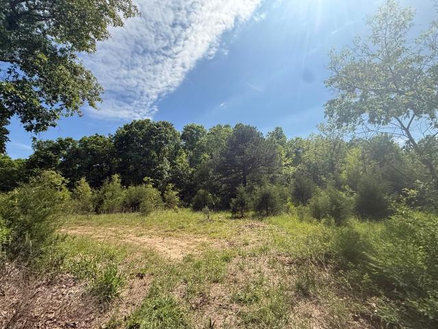 Land for sale in Licking, Missouri