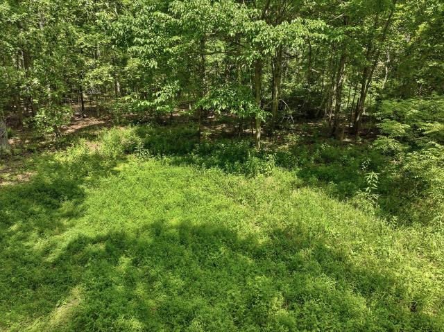Land for sale in Mountain View, Missouri