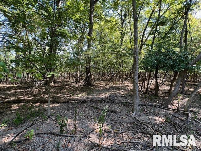 Land for sale in Carterville, Illinois