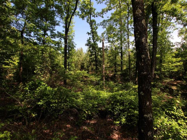 Land for sale in Ark