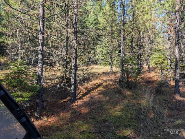 Land for sale in Kooskia, Idaho