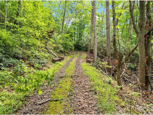 Land for sale in Bakersville, North Carolina