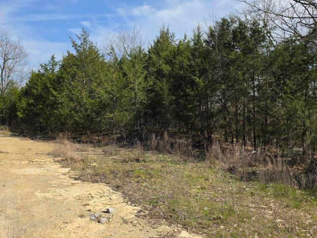 Land for sale in Branson, Missouri
