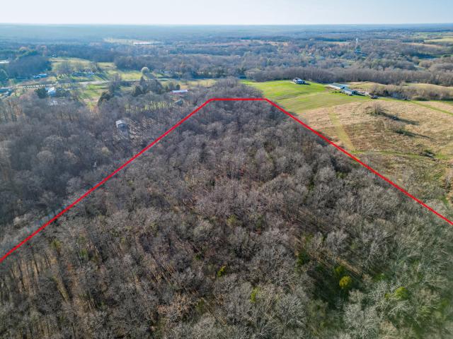 Land for sale in New Burnside, Illinois