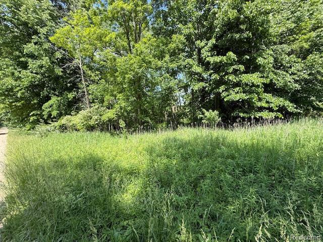 Land for sale in Brown City