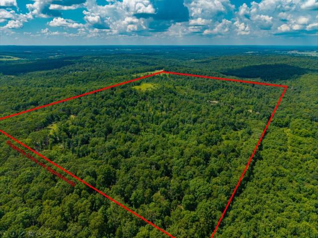 Land for sale in Cabool, Missouri