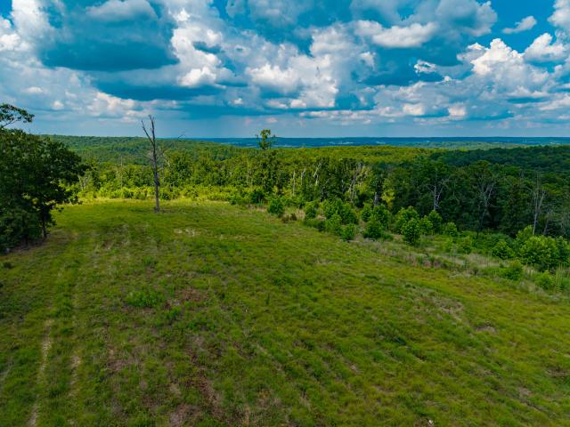 Land for sale in Cabool, Missouri