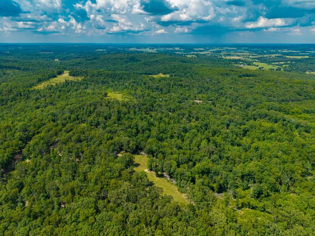 Land for sale in Cabool, Missouri
