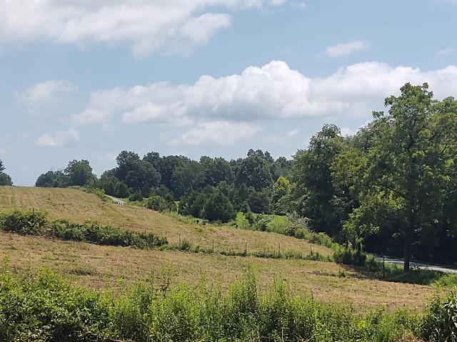 Land for sale in New Burnside, Illinois