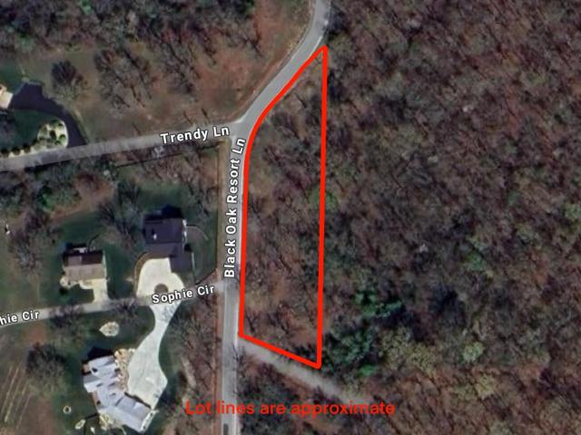 Land for sale in Stone, Missouri