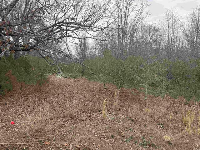 Land for sale in Ark