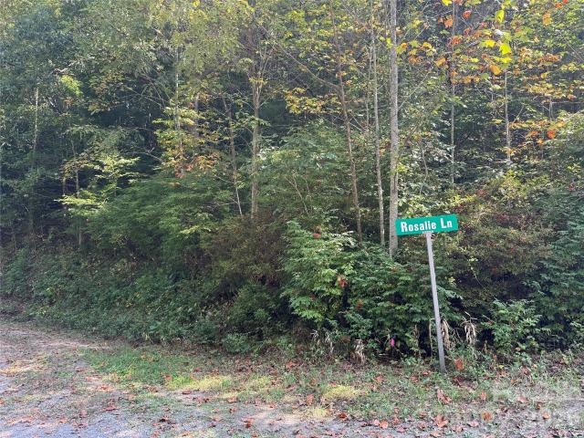 Land for sale in Waynesville, Haywood County