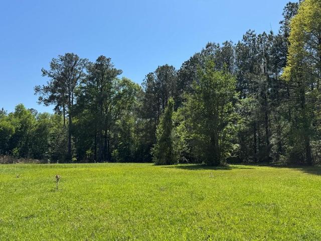 Land for sale in Bogue Chitto
