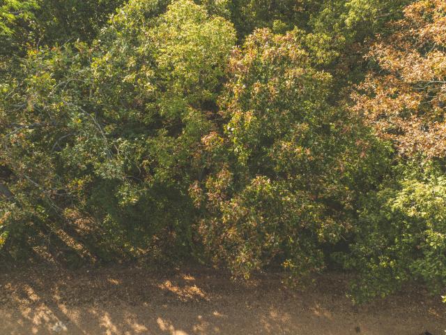Land for sale in Missouri