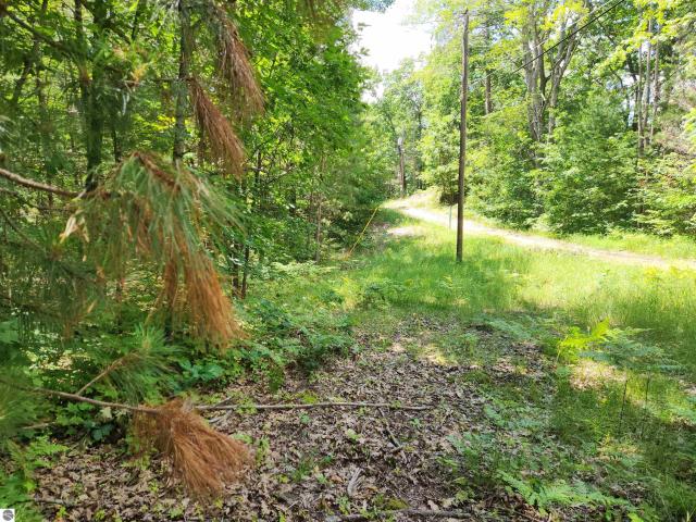 Land for sale in Michigan