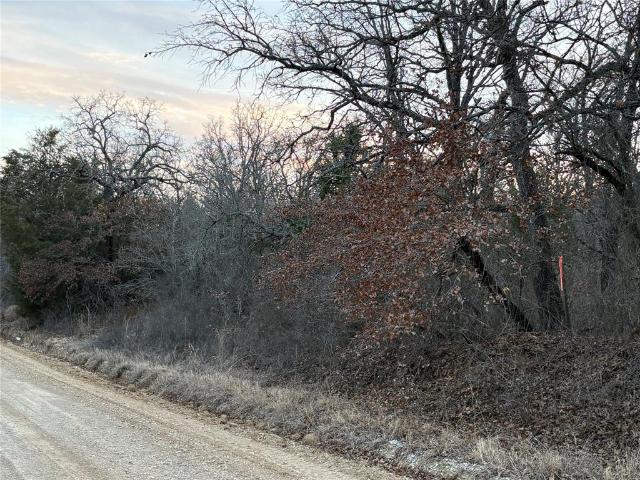 Land for sale in Bowie, Texas