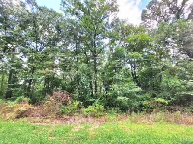 House for rent in Talladega House for rent in Talladega