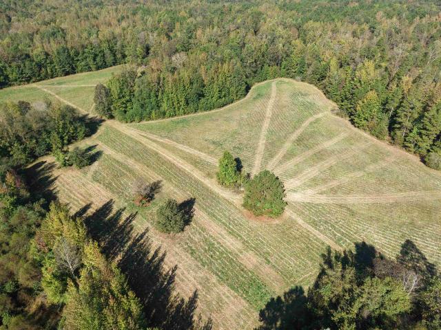 Land for sale in Tennessee