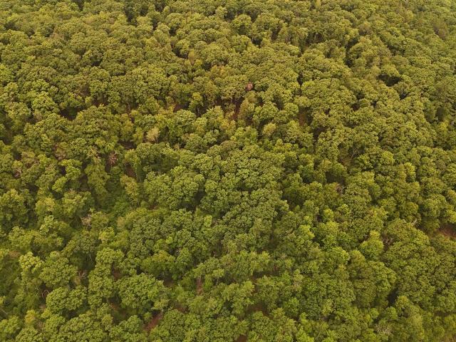 Land for sale in New Hampshire