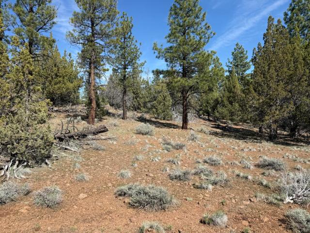 Land for sale in Adin, Modoc County