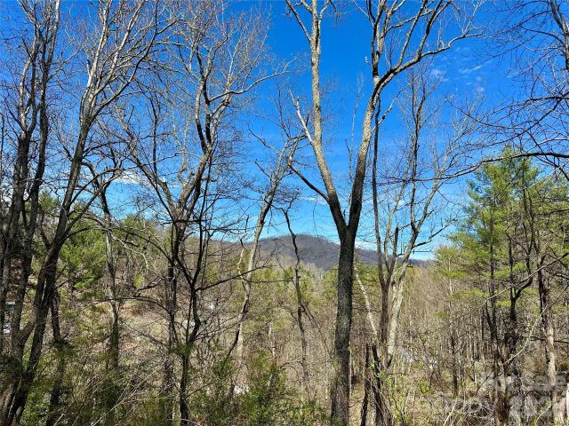 Land for sale in Bakersville, Mitchell County