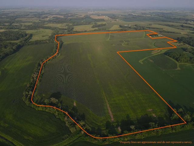 Land for sale in Whiteside, Illinois