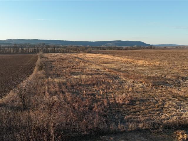 Land for sale in Ark