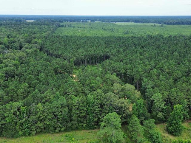 Land for sale in Pine Bluff, Cleveland County