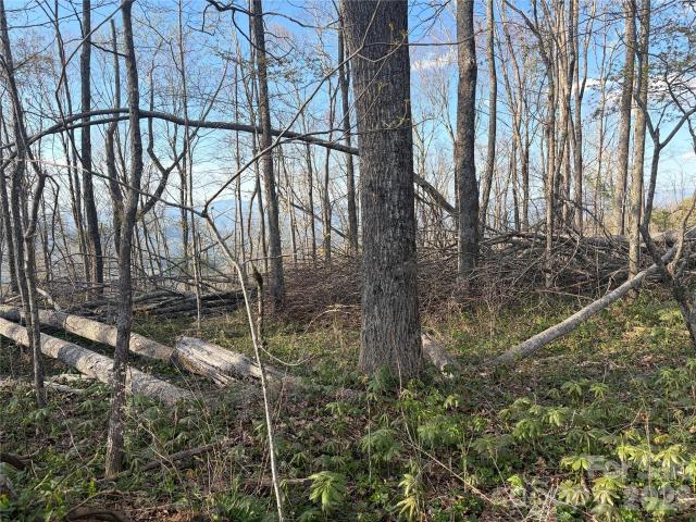 Land for sale in Yancey, North Carolina