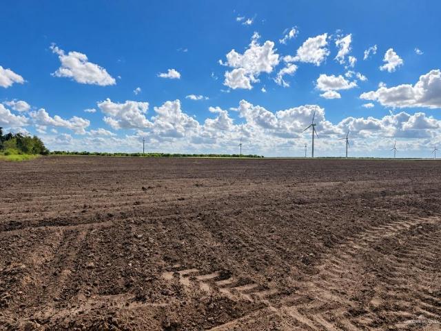 Land for sale in Lyford, Cameron County