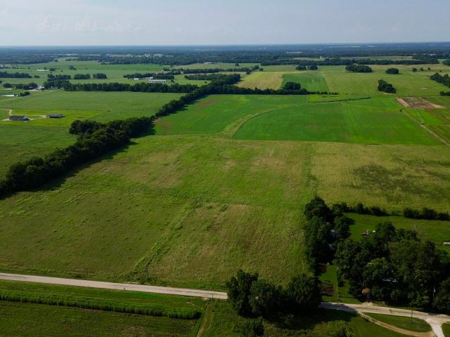 Land for sale in Reeds, Missouri