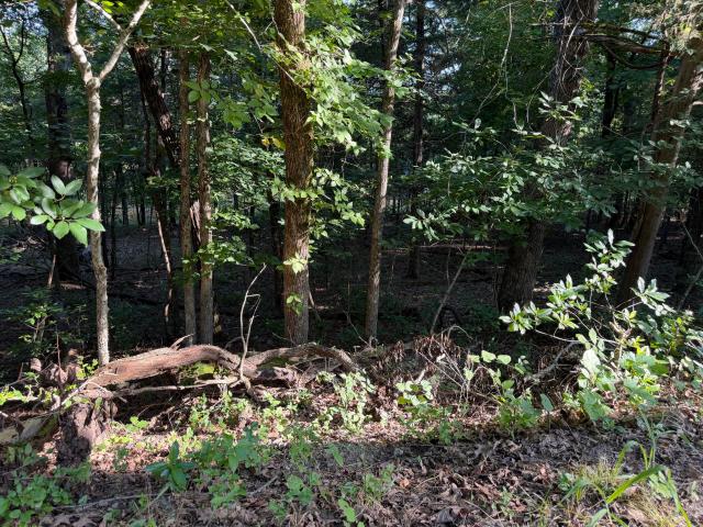 Land for sale in Rockaway Beach, Taney County