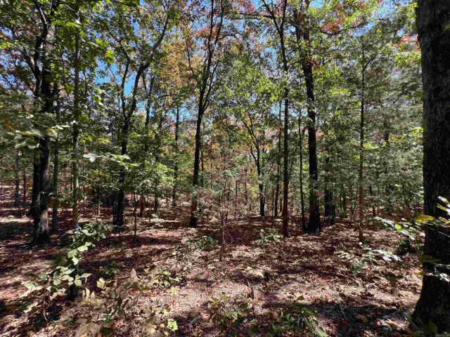 Land for sale in Ark