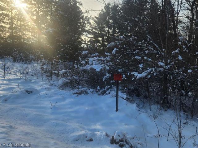 Land for sale in Tuscola, Michigan