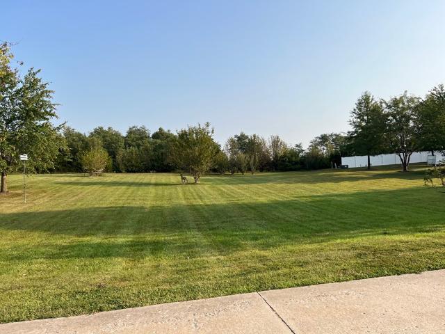 Land for sale in Macon, Missouri