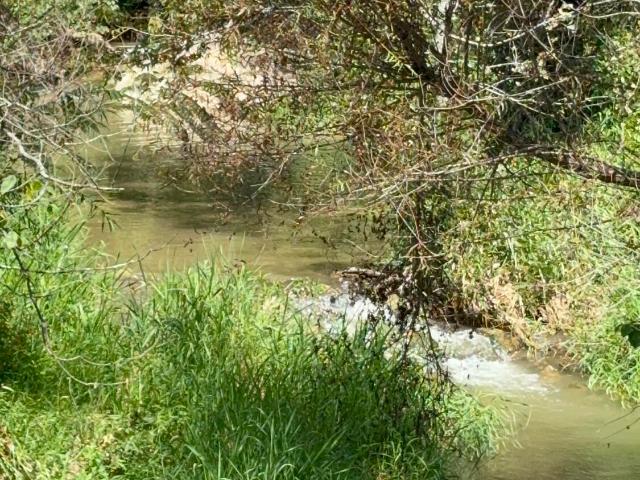 Land for sale in Greenwood, Jonesborough