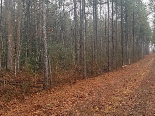 Land for sale in Virginia