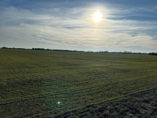 Land for sale in Diamond, Missouri