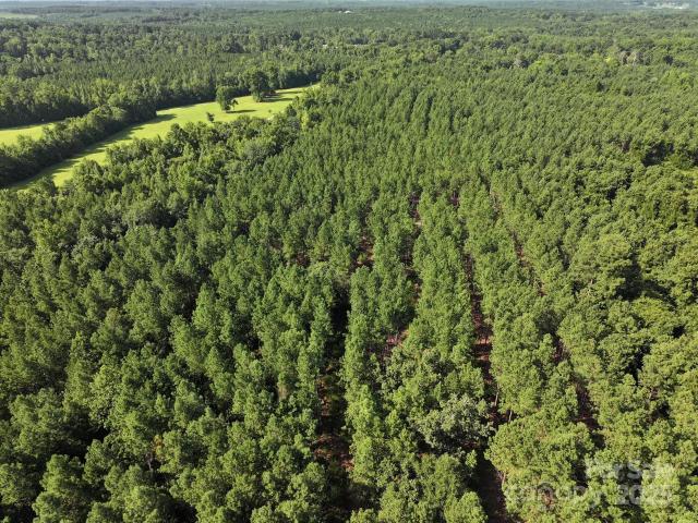 Land for sale in Wadesboro, North Carolina