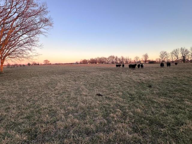 Land for sale in Carthage, Missouri