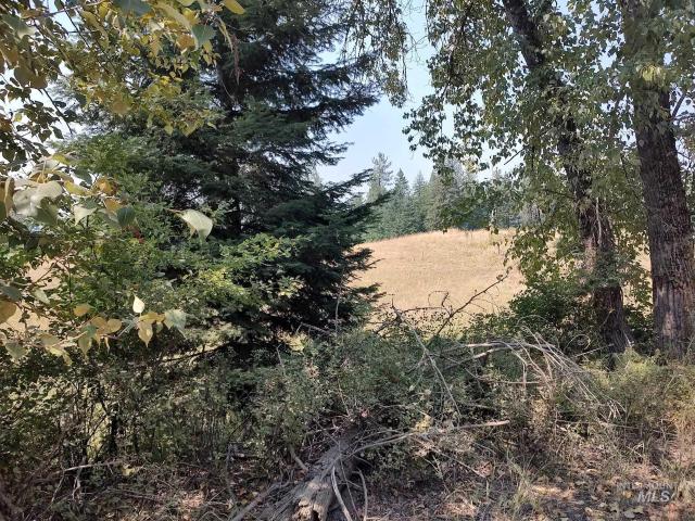 Land for sale in Kooskia, Idaho