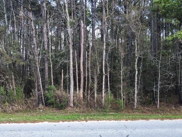 Land for sale in Charleston, South Carolina
