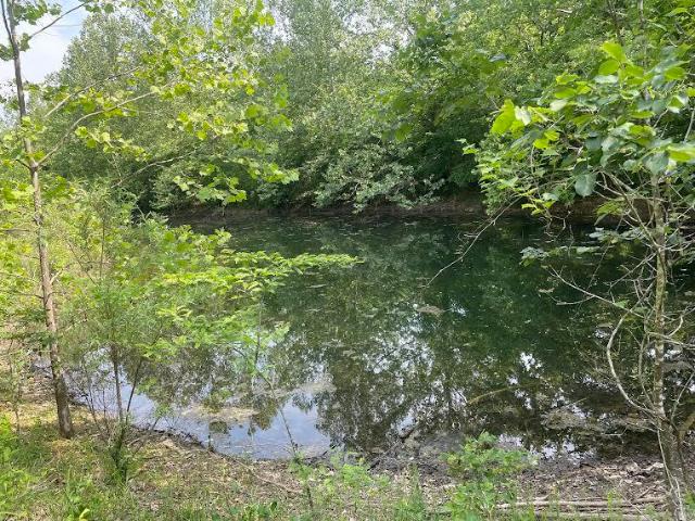 Land for sale in Ava, Missouri