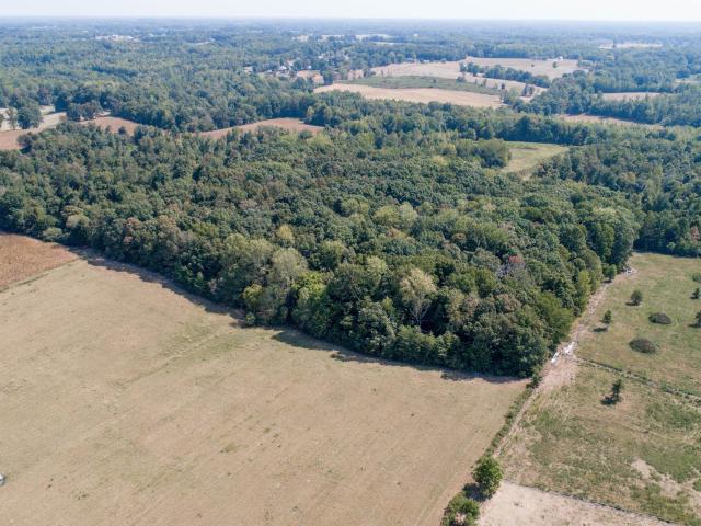 Land for sale in Rogersville, Alabama