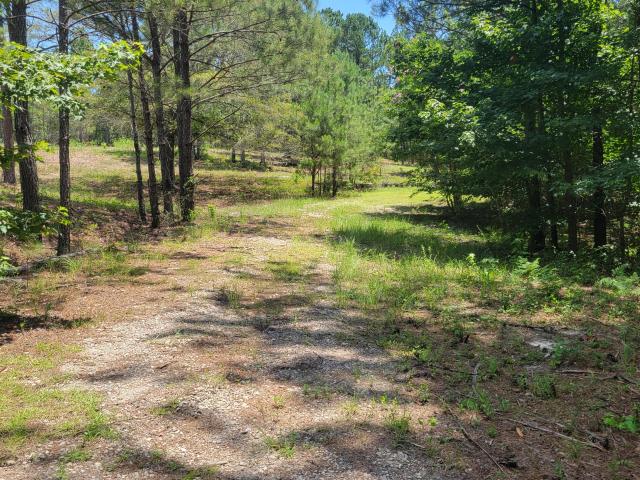 Land for sale in Graniteville Land for sale in Graniteville