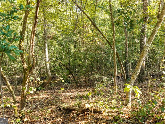 Land for sale in Hephzibah, Burke County